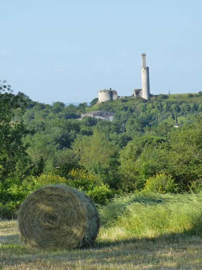 Domaine De Bonnet Bed & Breakfast Castelnau-de-Levis Bagian luar foto